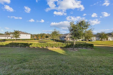 A home in ZEPHYRHILLS