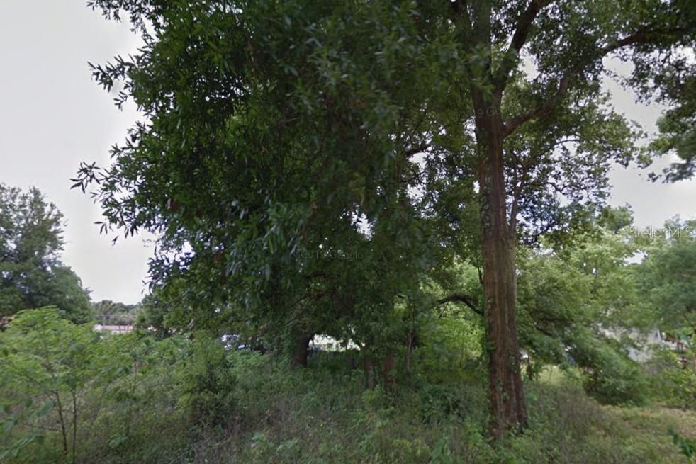 Photo of 28 NW 21st Avenue, Ocala, FL 34475 (MLS # OM726810)