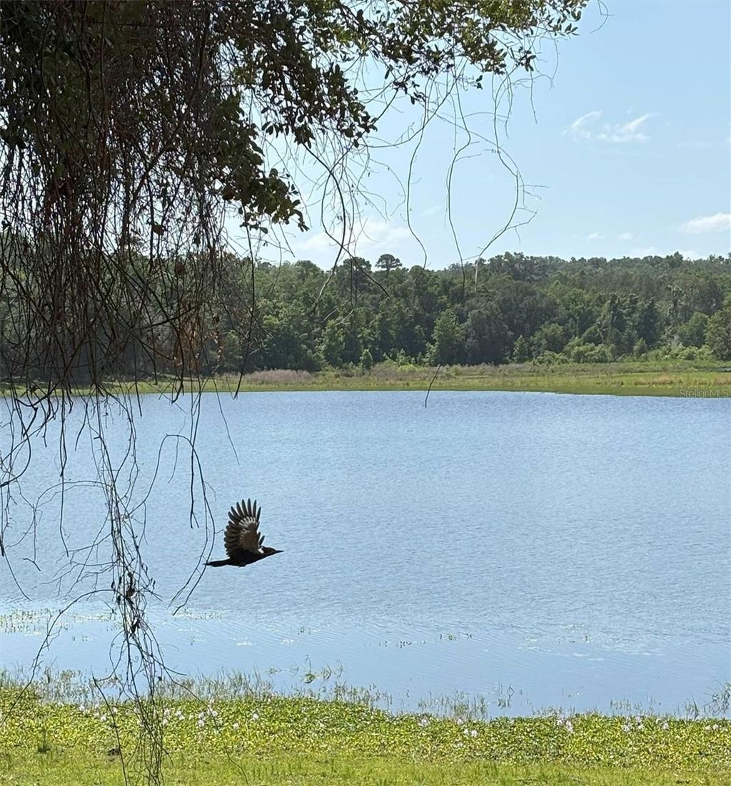 Photo of Church Road, Brooksville, FL 34602 (MLS # TB8407445)