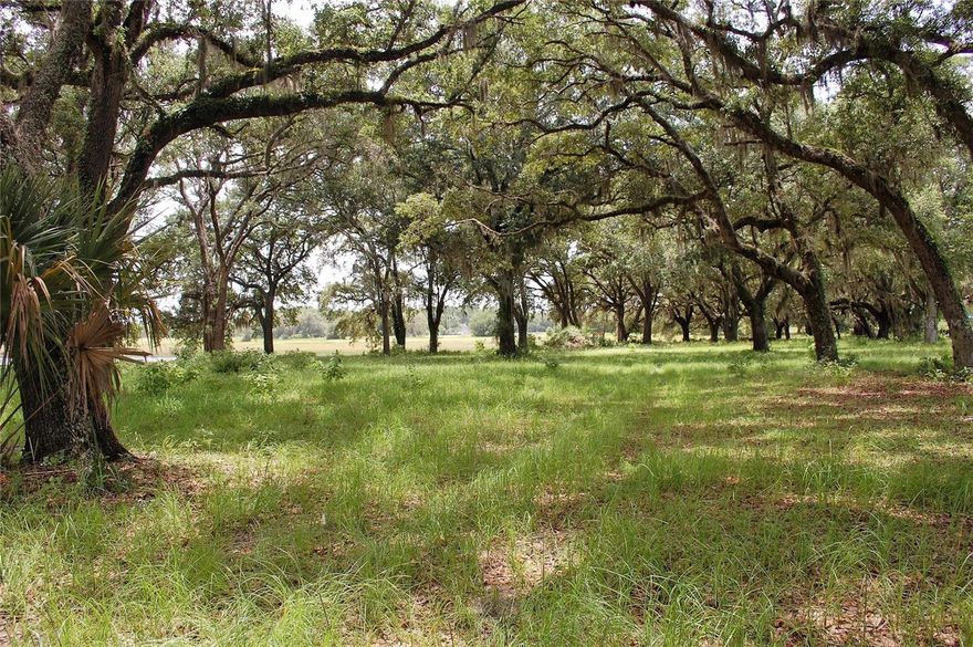 Here's your chance!!! Opportunity knocks seldom but this is one of those times. WOW! What a rare find in the heart of the Lake Region of Florida. Approximately 270 acres of gently rolling, lush, hay fields and wooded draws, located only a minutes to Gainesville, Jacksonville, and Ocala. This lovely property has it all, dense forest, loaded with abundant wildlife including deer and turkey for the hunting enthusiast, beautiful ponds, open pasture for horses, cattle and hay production. There are numerous sites amongst century old live oaks with picturesque sunsets overlooking the pond for your dream home and the peace and quiet of hard to find county living. Don't pass up this unique and diverse property to create your own family legacy. In Alachua and Putnam Counties. {A-412}