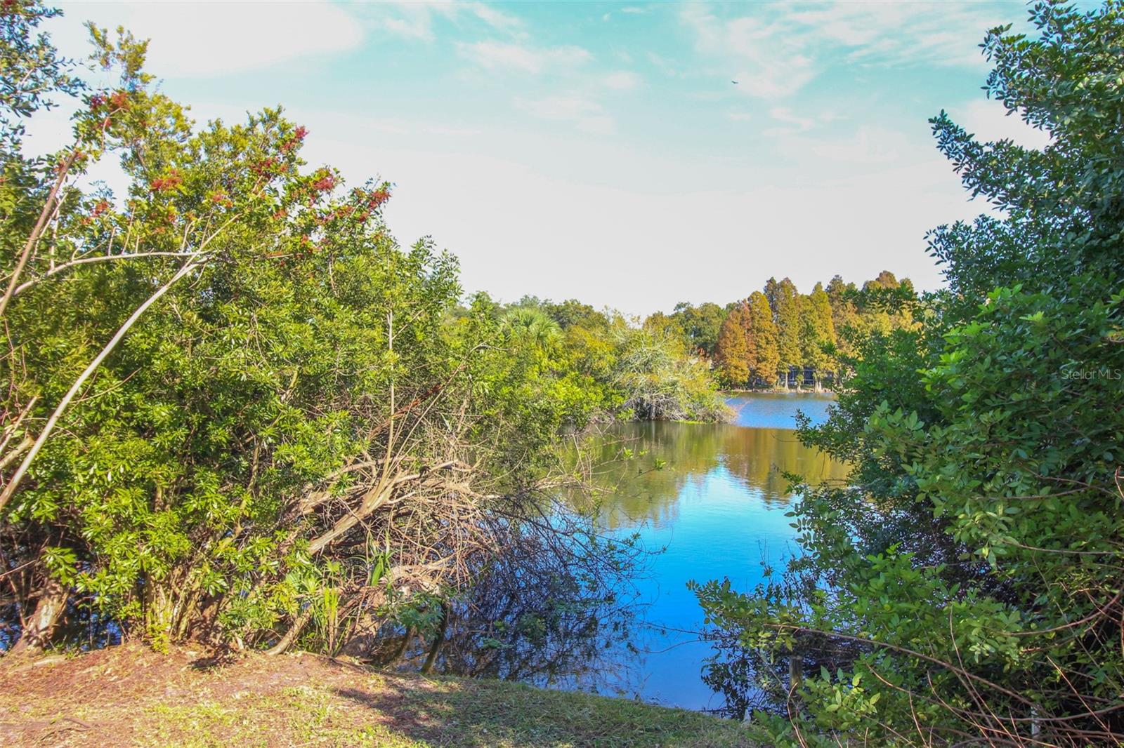 TURTLE ROCK - Residential Lease