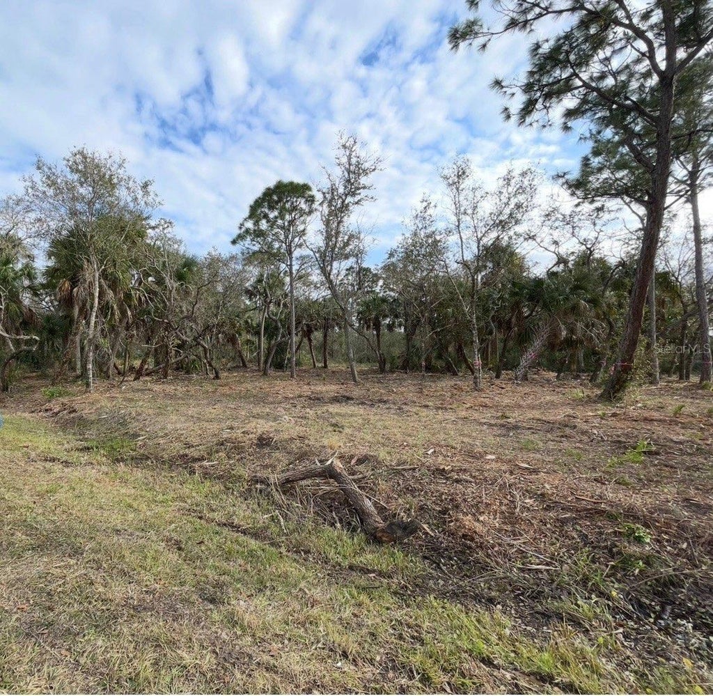 Photo of 27051 Suede Drive, Punta Gorda, FL 33955 (MLS # C7529578)