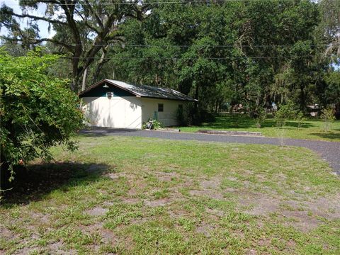 A home in LAKE PANASOFFKEE