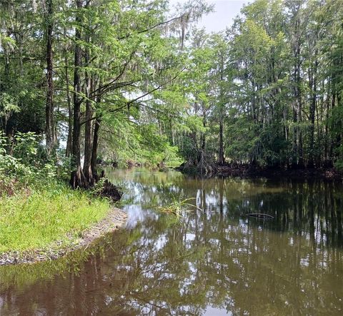 A home in LAKE PANASOFFKEE