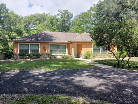 A home in LAKE PANASOFFKEE