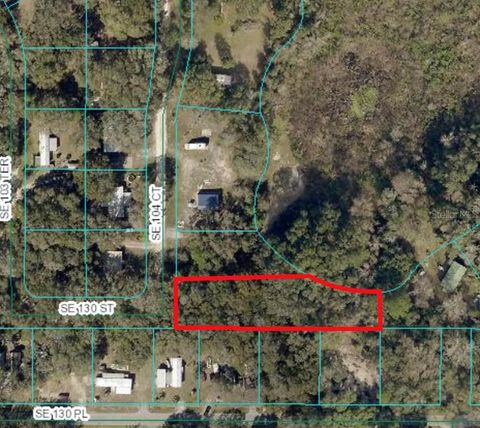 0 SE 130 STREET BELLEVIEW FL 34420