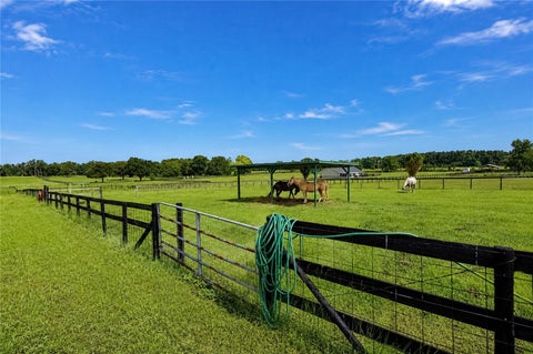 Tiny photo for 12345 NE 14th Avenue, Anthony, FL 32617 (MLS # OM728427)