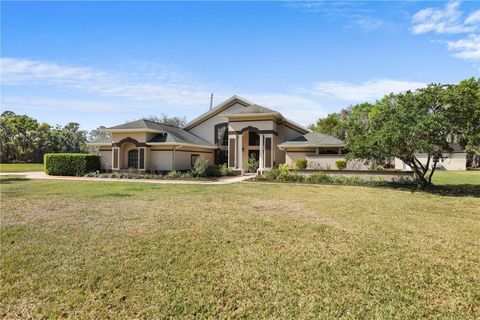 8403 SOUTHWOOD PINES STREET LITHIA FL 33547