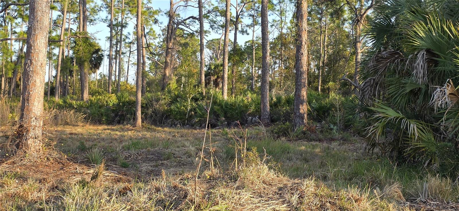 PORT CHARLOTTE SEC 054 - Land