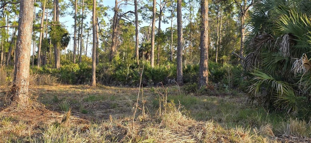 Photo of 13262 Gorman Avenue, Port Charlotte, FL 33981 (MLS # C7522264)