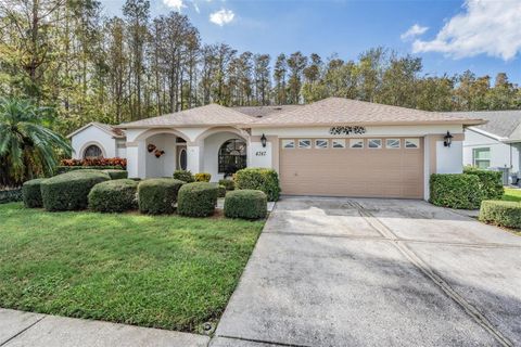 A home in NEW PORT RICHEY