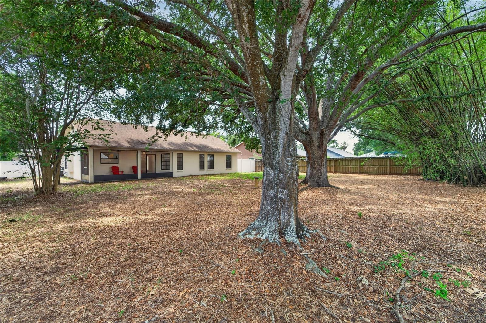 BOYETTE SPRINGS - Residential