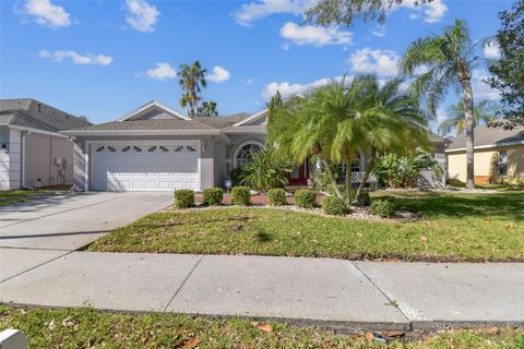 A home in BRANDON