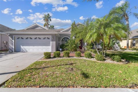 A home in BRANDON