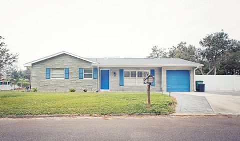 302 N LAUBER WAY TAMPA FL 33609
