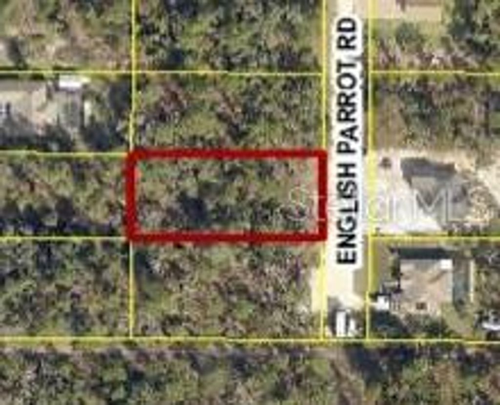 Photo of 13415 English Parrot Road, Brooksville, FL 34614 (MLS # W7885263)