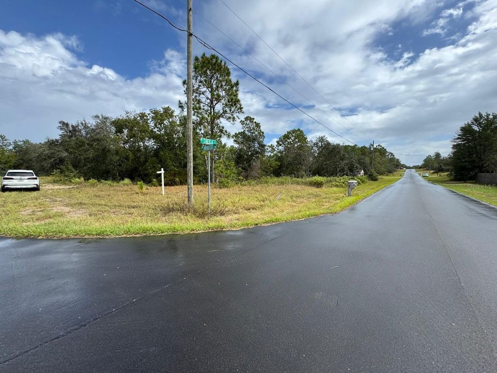 Photo of 2845 W Sheila Drive, Citrus Springs, FL 34433 (MLS # O6365208)