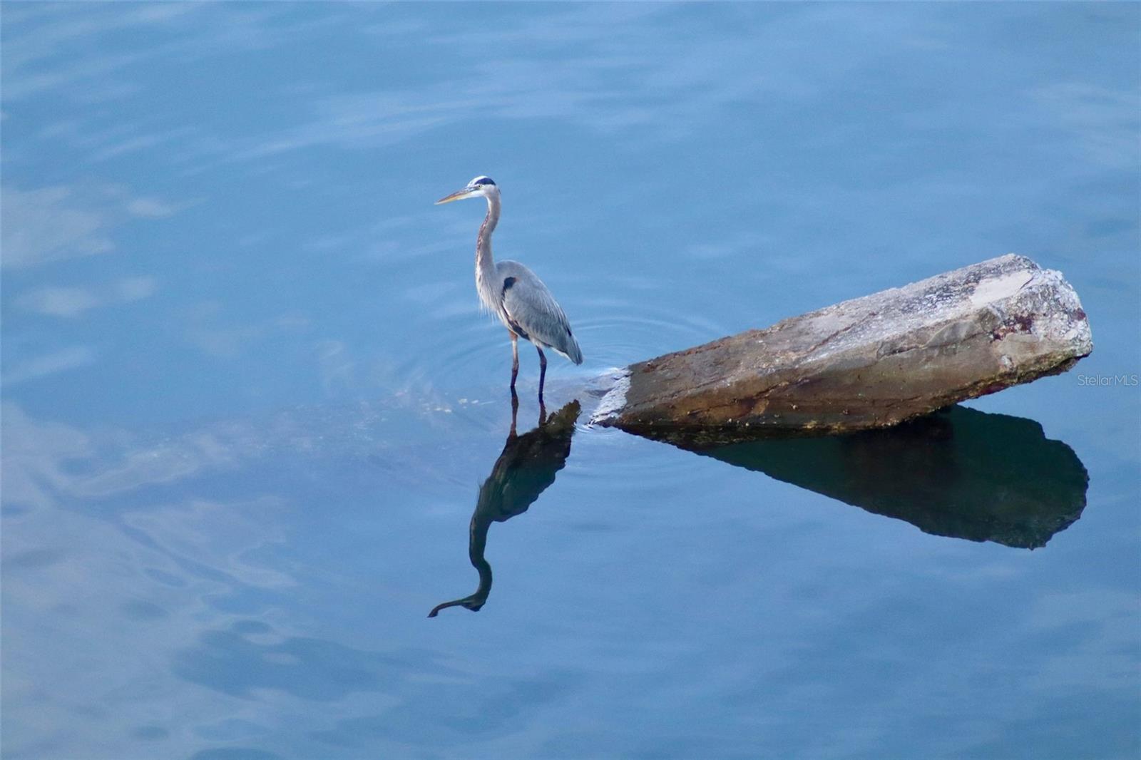 LE RIVAGE COND - Residential