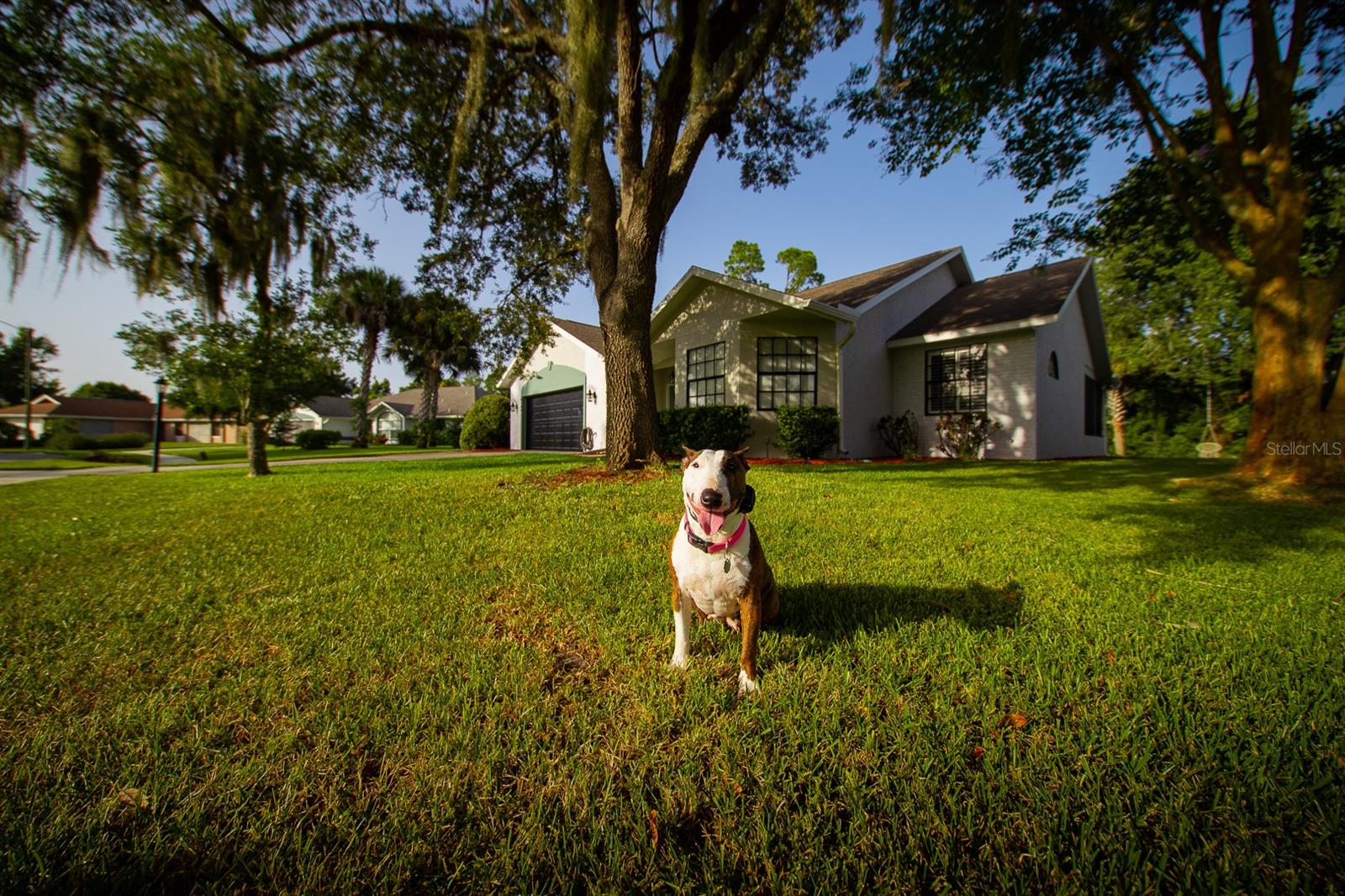 Palms Del Mar - Residential