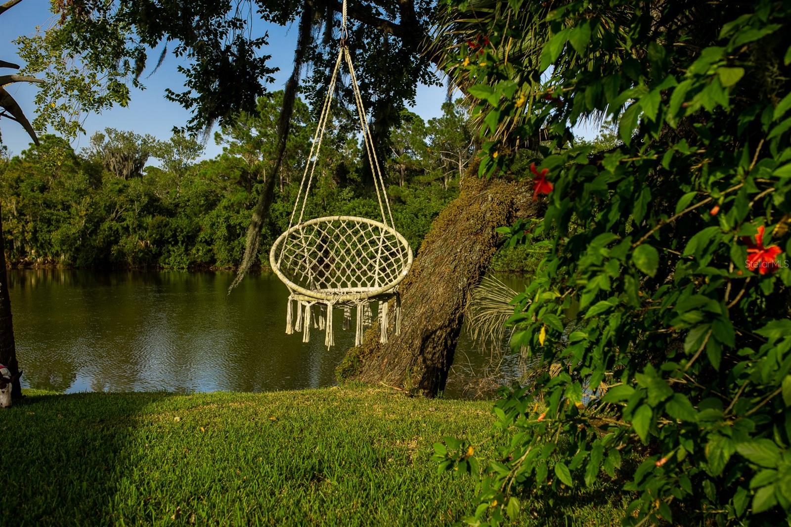 Palms Del Mar - Residential