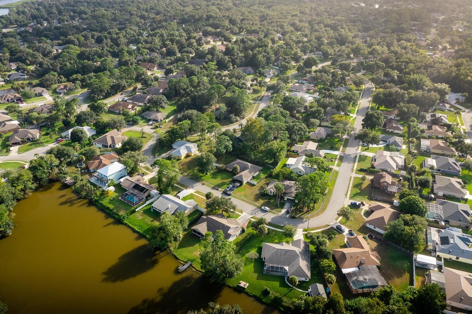 Palms Del Mar - Residential