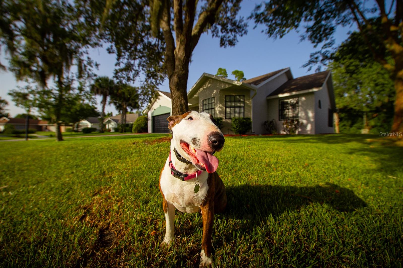 Palms Del Mar - Residential