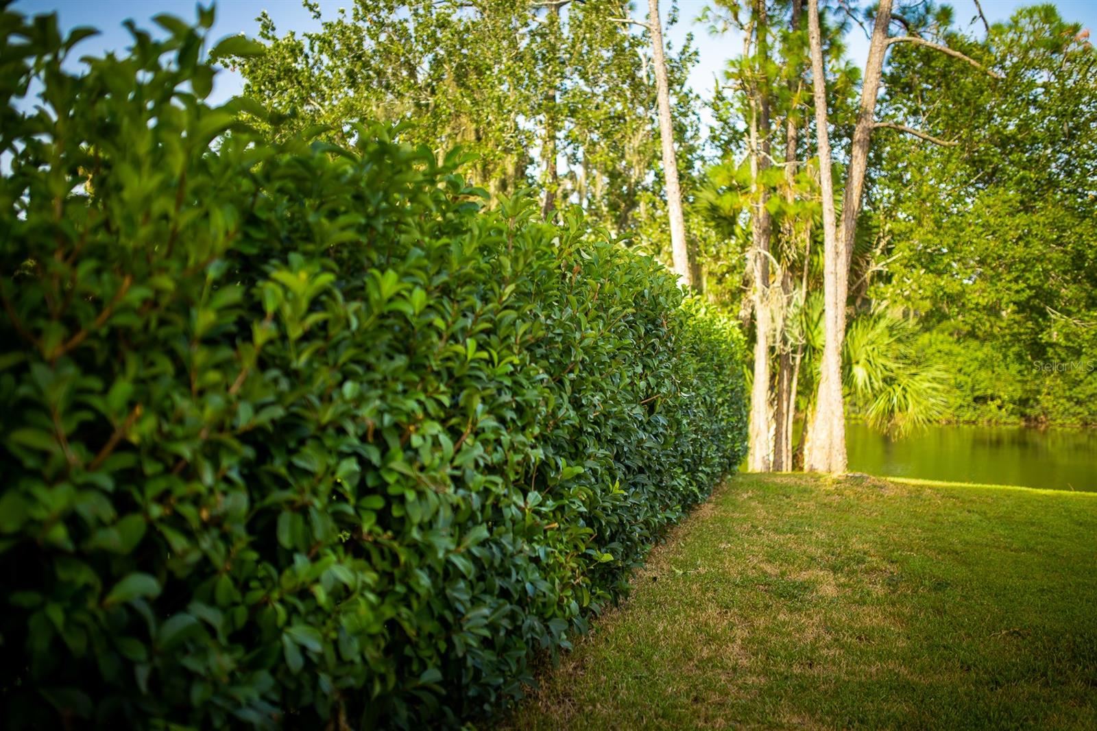 Palms Del Mar - Residential