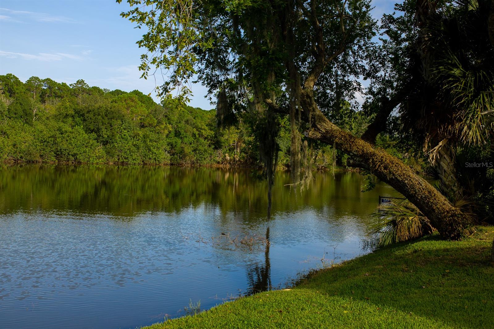 Palms Del Mar - Residential