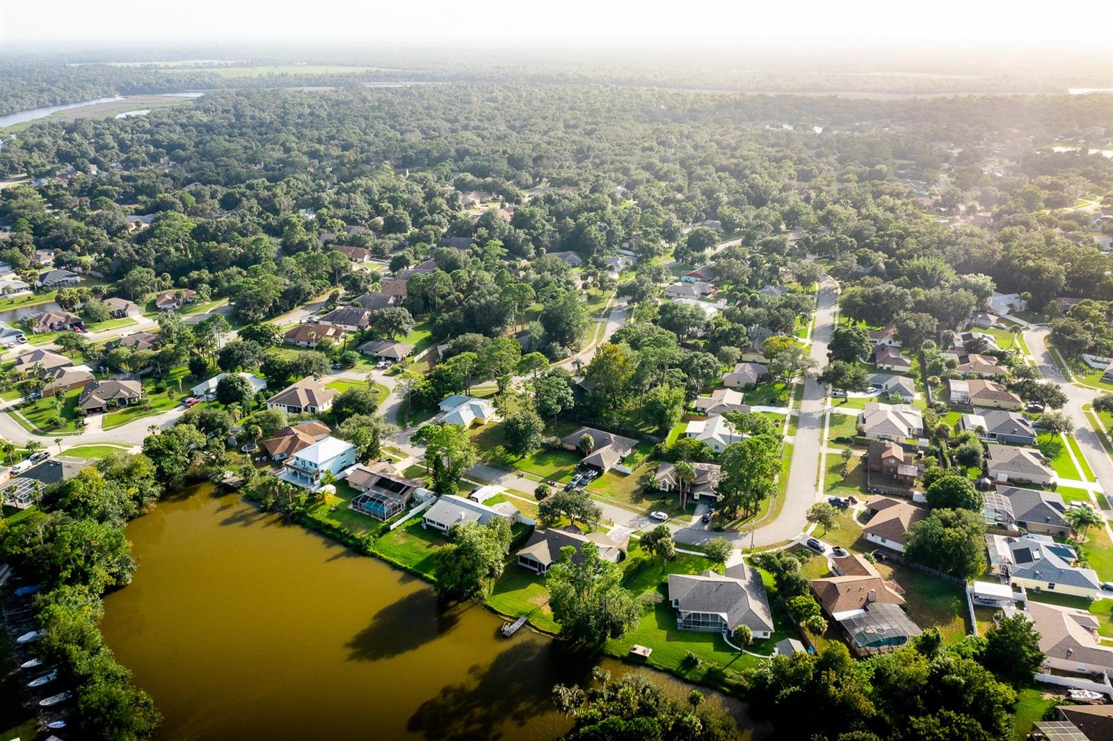 Palms Del Mar - Residential