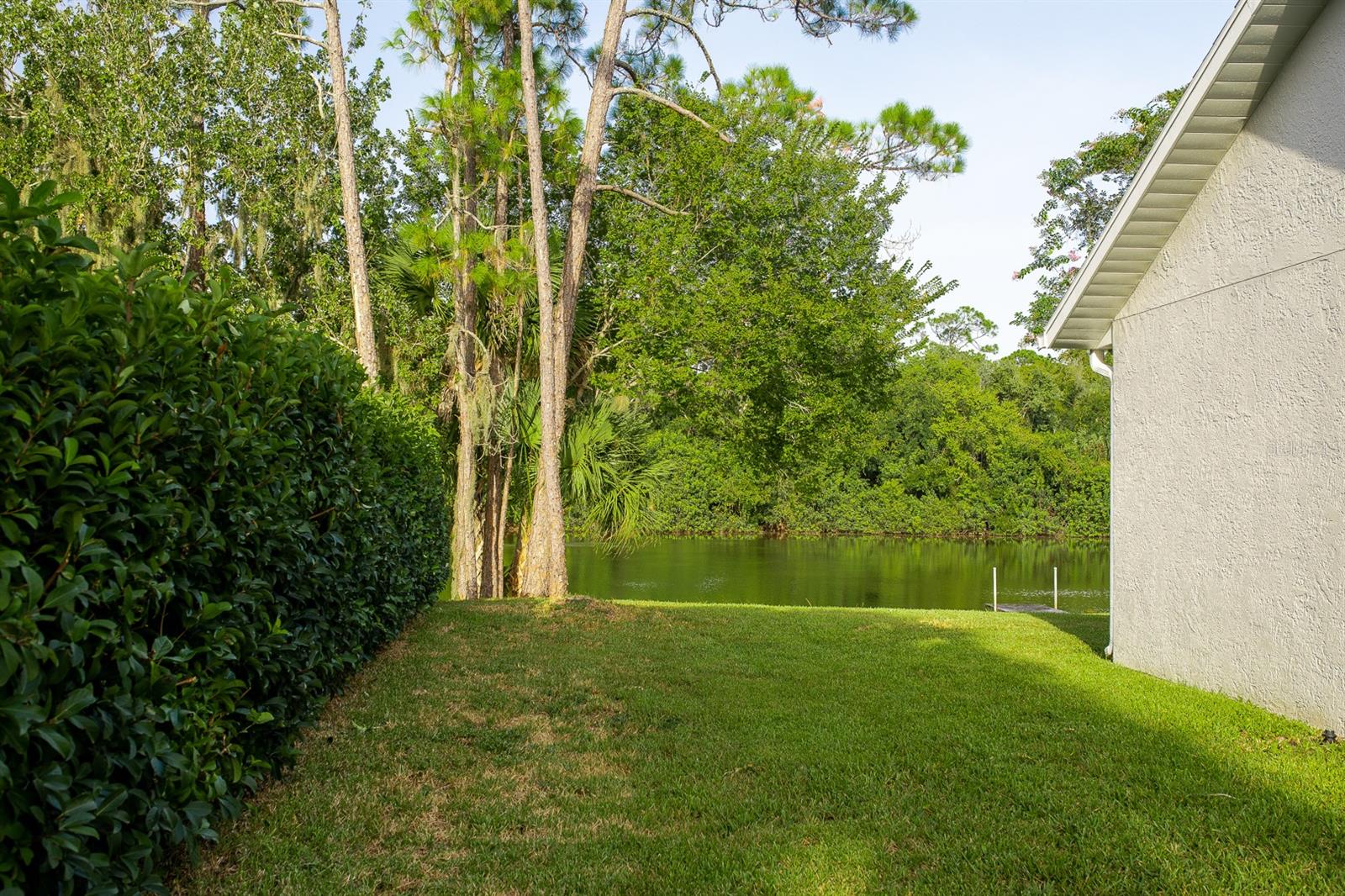 Palms Del Mar - Residential