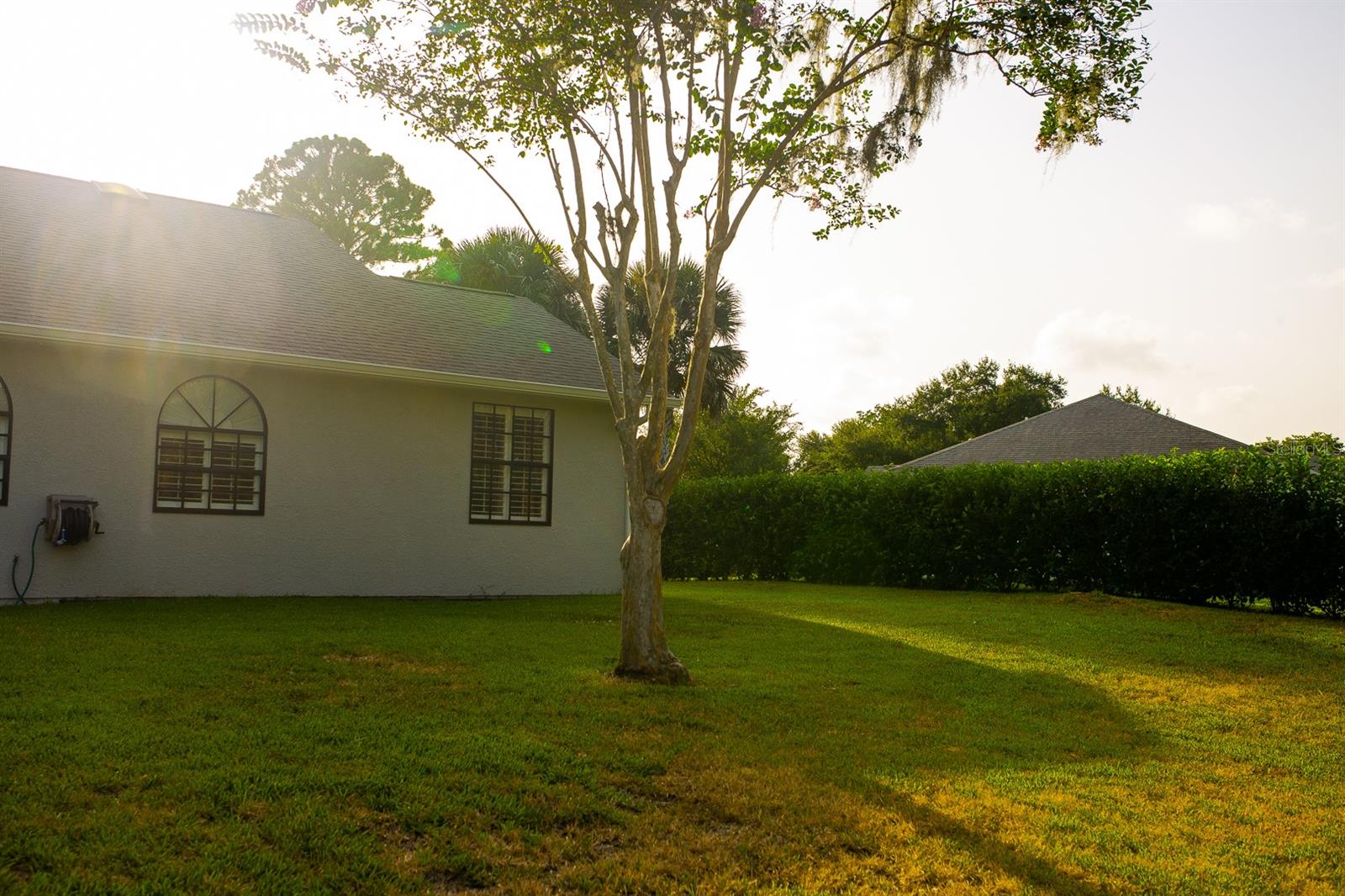 Palms Del Mar - Residential