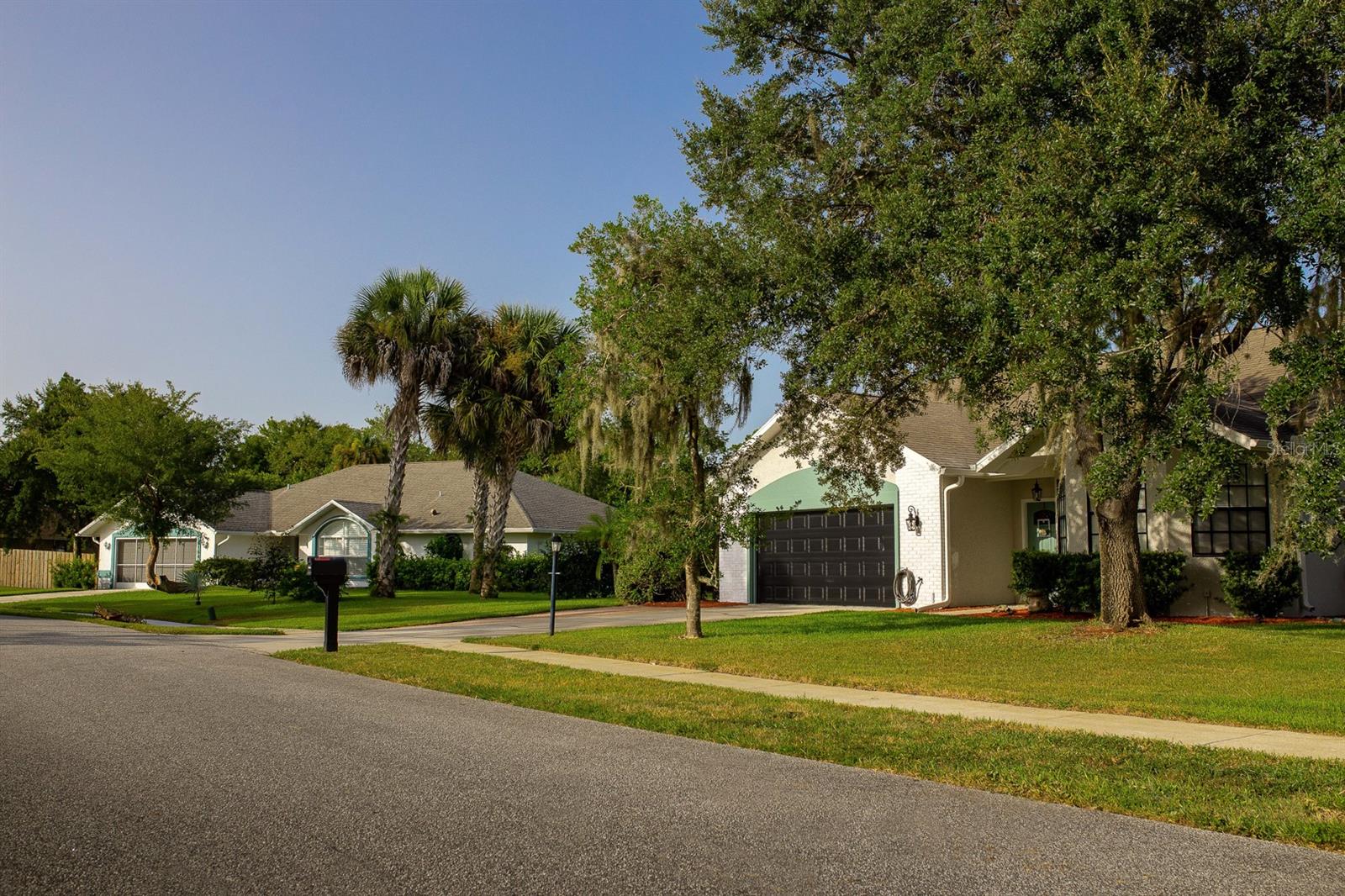 Palms Del Mar - Residential