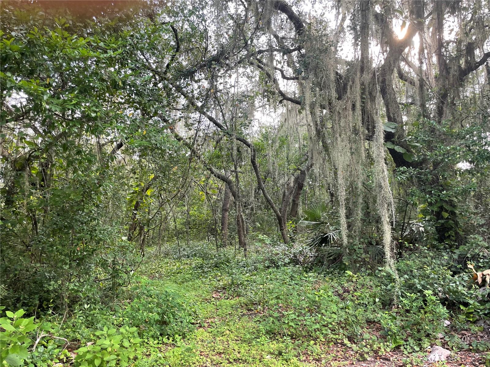 LAKE PIERCE HEIGHTS - Residential