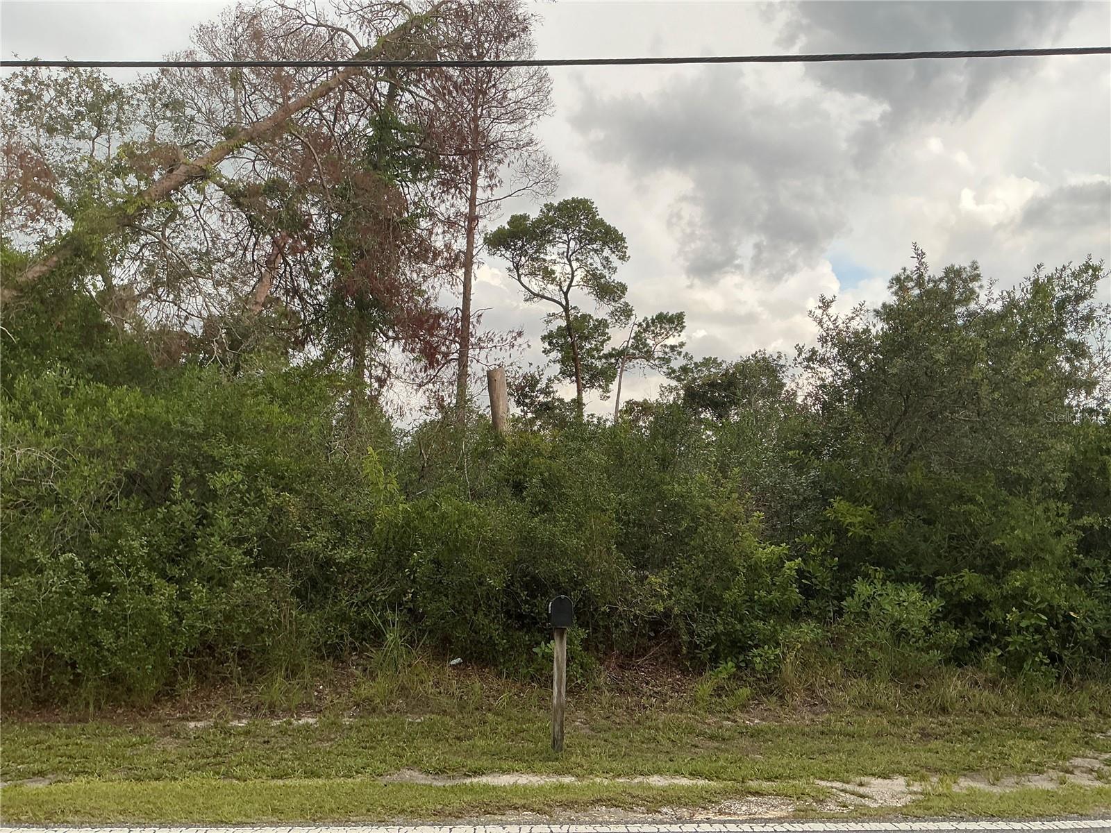 Situated in the heart of Weeki Wachee, this lot measures 100 by 200 feet, located outside the flood zone, with no wetlands and no endangered species, this lot is shovel-ready and primed for development. Royal Highlands - live in Weeki Wachee. Rural setting yet close enough to Spring Hill and Tampa via the Suncoast Hwy. Lots of new construction in the Royal Highlands subdivision, which is not in an HOA. Power, cable and internet are available. Down the street from Weeki Wachee Springs State Park where you can attend Swampfest or paddle scenic waterways. Only 10 minutes to the award winning World Woods Golf Club by Tom Fazio. 20 minutes to Withlacoochee State Forest that has 2600 acres of ATV riding trails. Royal Highlands is also an easy commute to nearby cities, just over an hour north of Tampa, 1.5 hours west of Orlando, and one hour from Ocala.