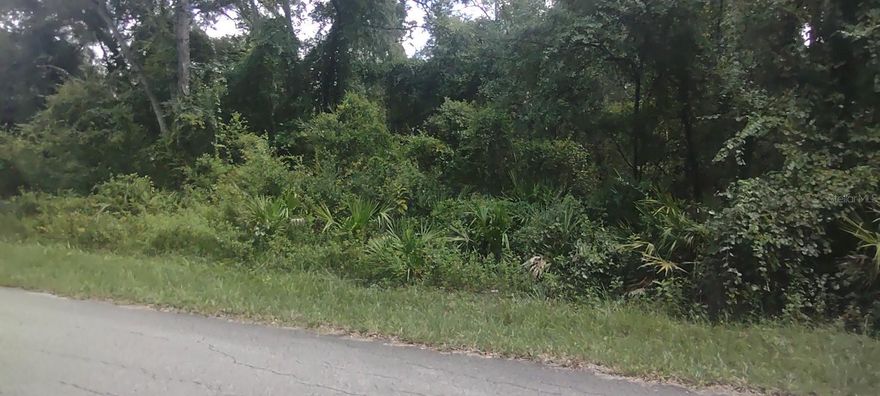 Come build your dream home on 2.3 acres located in a beautiful country setting near the Withlacoochee Forest. Single family residential or a manufactured home may be built on this property which is partially cleared. Easy access to Florida’s west coast beaches, the Florida Turnpike and conveniently located near I-75 and major highways. Less than an hour to Tampa and The Villages so if you are looking to get back to nature and enjoy hiking, fishing, boating or kayaking then check this property out today!