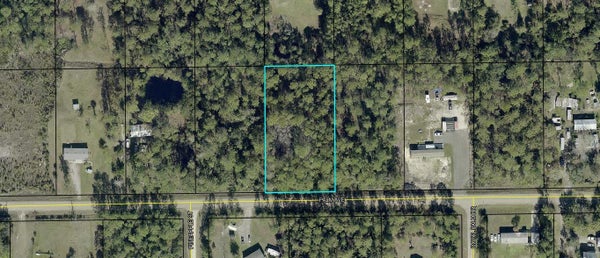 5794 PALM AVE, BUNNELL, FL 32110 - Image cf2b140e577db26f34d822a4e6d5fa87/591002041