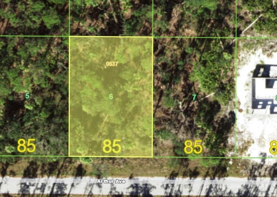 Beautiful buildable lot in a neighborhood with slightly wider lots, 85’ wide x 122’ deep. Looking for a wider property? The lot next door (MLS D6146192) is also for sale for an amazing double lot in a neighborhood of new builds. Sitting at 8' above sea level (estimated via satellite) in an AE9 flood zone, you will only need to bring in a couple of feet of fill dirt at construction time. It is not located in a Scrub Jay permit zone. Electricity is ready to be connected and the main water lines are at the end of the street, so you may have public water by the time you build. A septic system is required here. With no HOA or deed restrictions, you can have pets and park your boat/trailer in your yard. There is a kayak launch less than a half mile away, giving you access to miles of canals, mangrove tunnels, the Myakka River and the Gasparilla Sound. For bigger boats, Port Charlotte Beach Park is 7 miles away with its boat ramp, beach, tennis and playground. From Gasparilla Sound, you can boat north up two different rivers, or out past the ICW & barrier islands to the Gulf of Mexico. Also close to shopping, restaurants, marinas, golf courses, and the County Fairground and Sports Park. What more could you want for your new home in paradise?