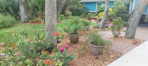 A home in FLAGLER BEACH