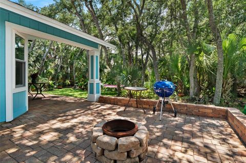 A home in FLAGLER BEACH