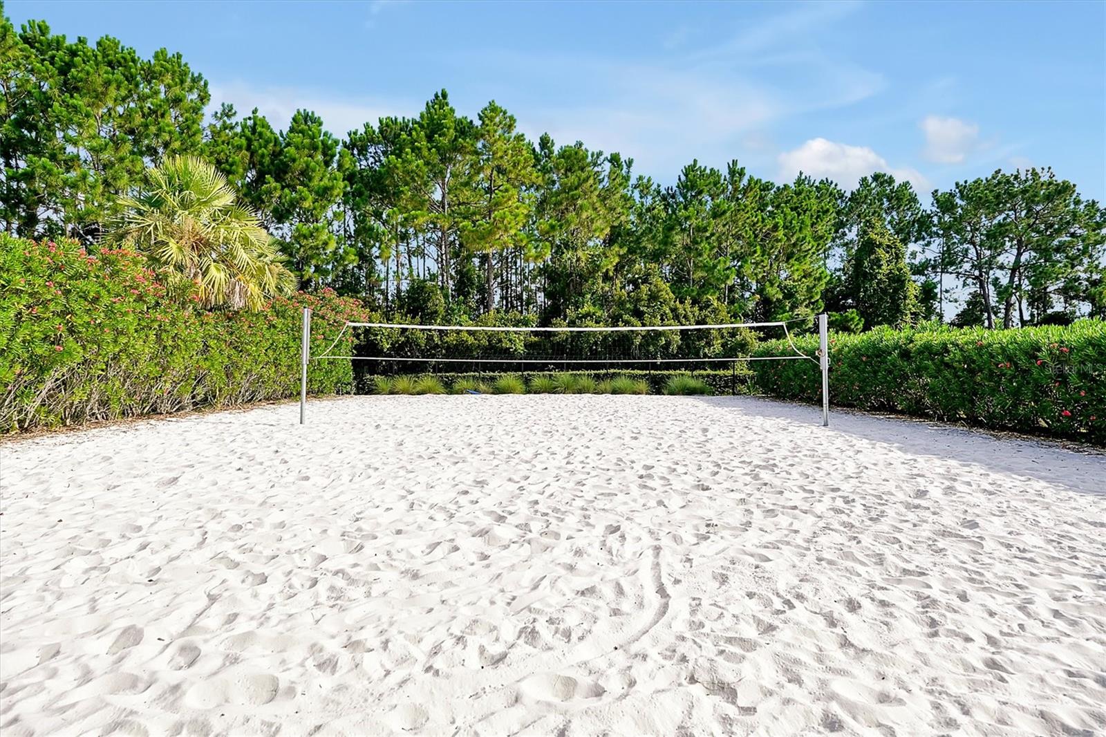 FESTIVAL PH 1 - Residential Lease