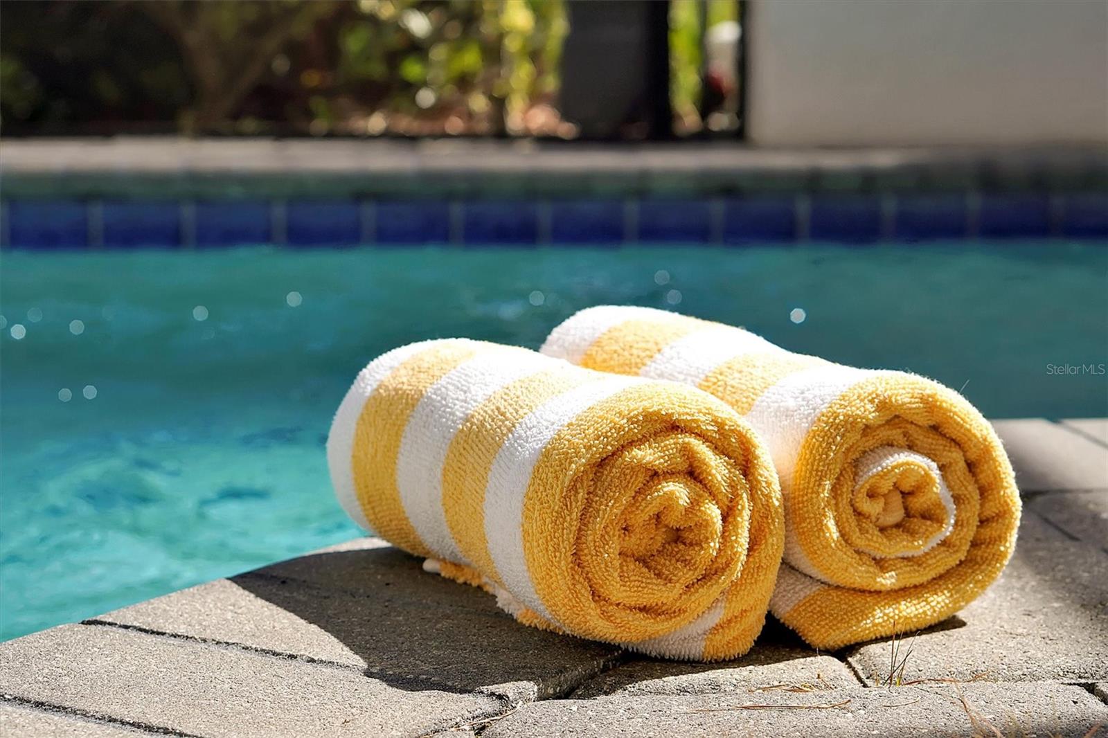 FESTIVAL PH 1 - Residential Lease