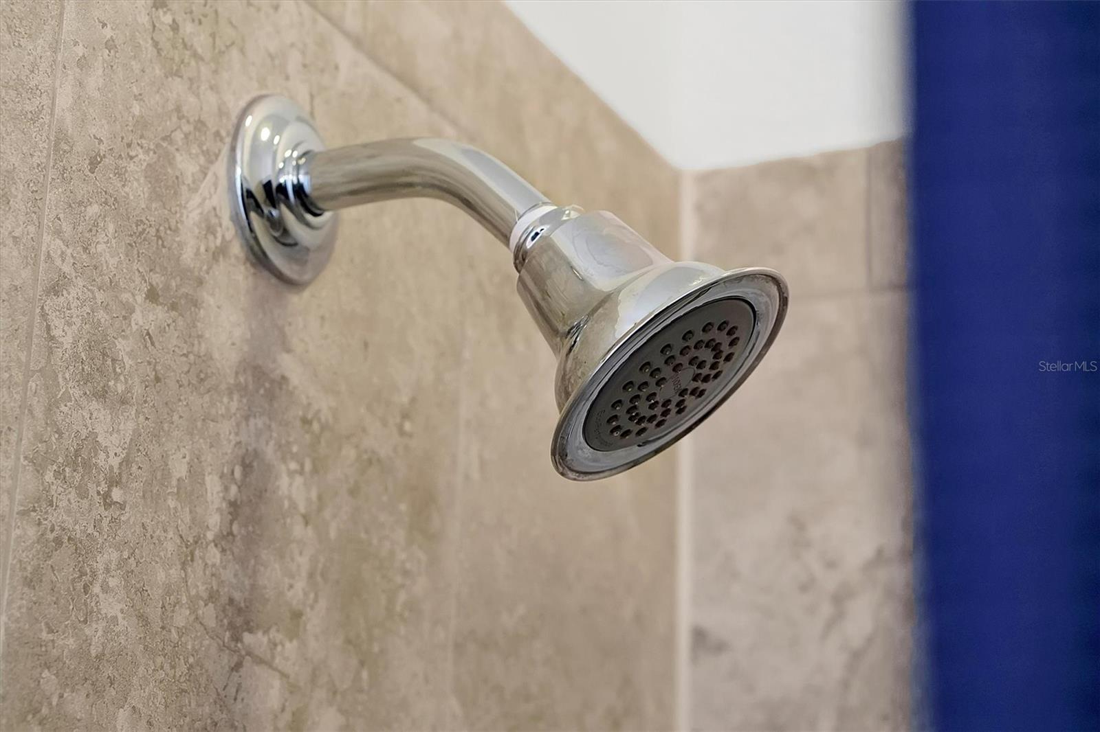 FESTIVAL PH 1 - Residential Lease