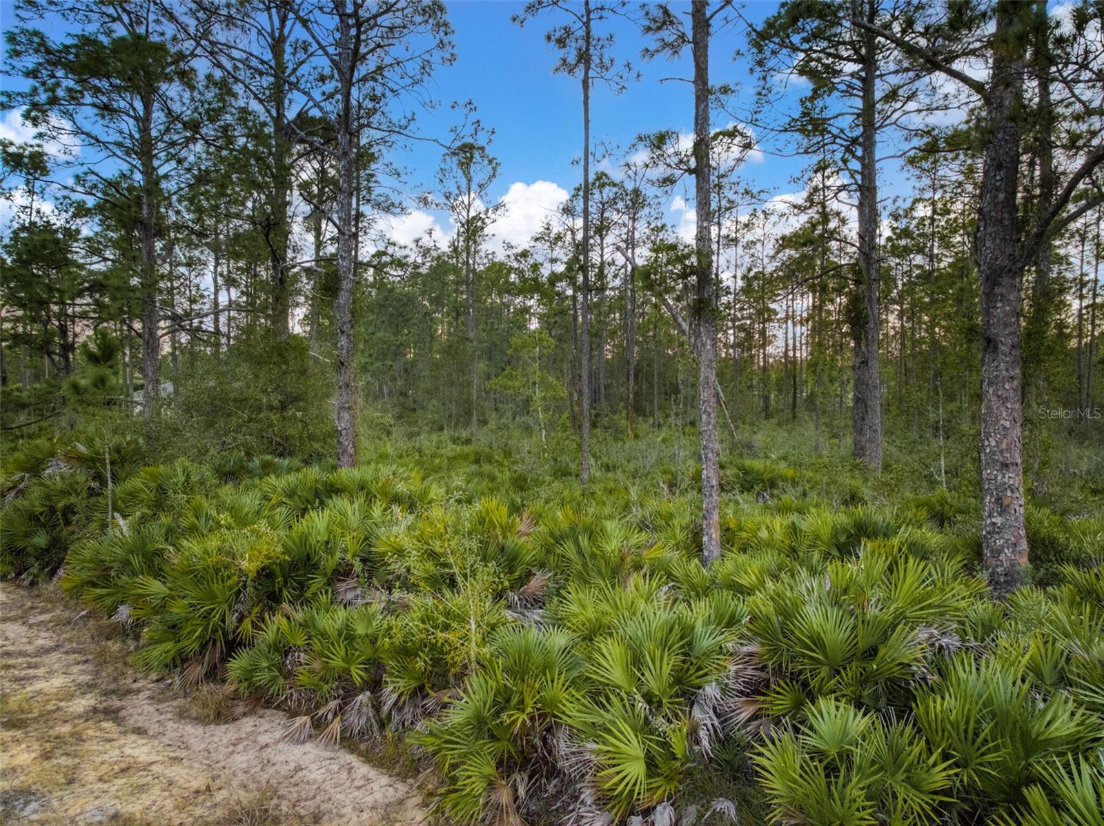 ORANGE BLOSSOM ESTATE - Land