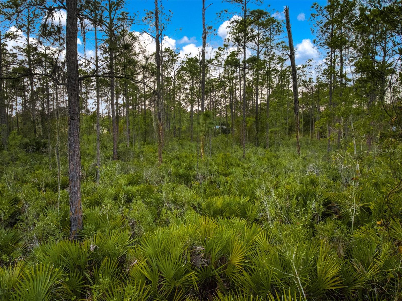 ORANGE BLOSSOM ESTATE - Land