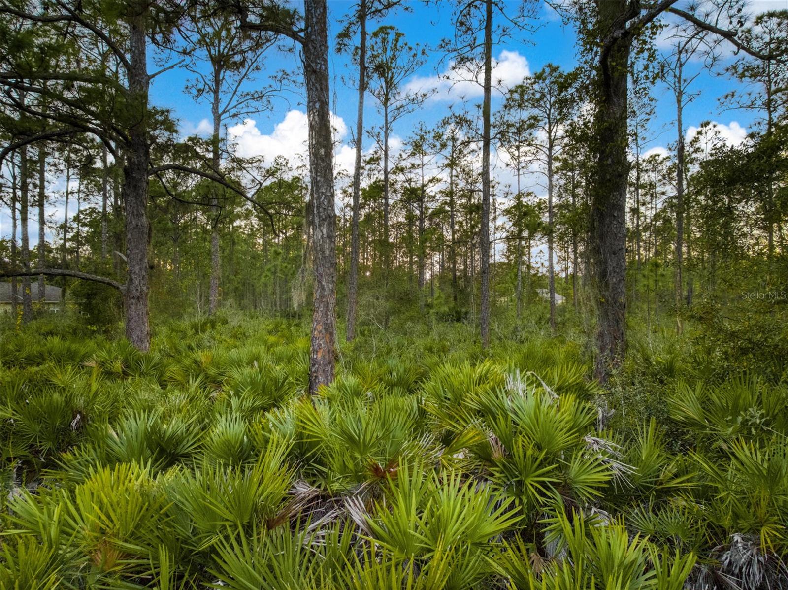 ORANGE BLOSSOM ESTATE - Land