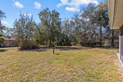 A home in DELTONA