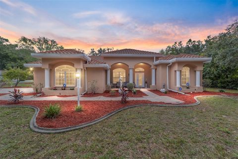 A home in DUNNELLON