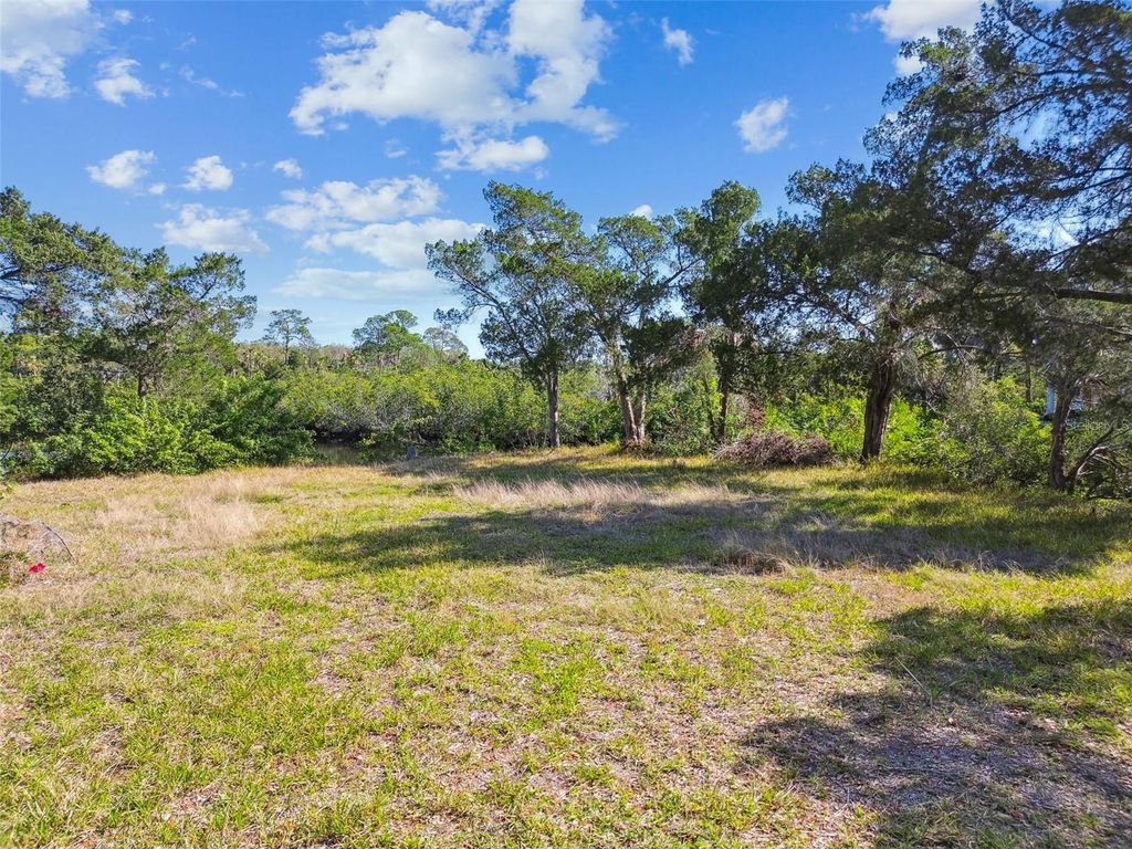 Photo of 5274 Miller Bayou Drive, Port Richey, FL 34668 (MLS # TB8368467)