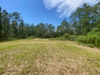 DAYTONA NORTH - Residential