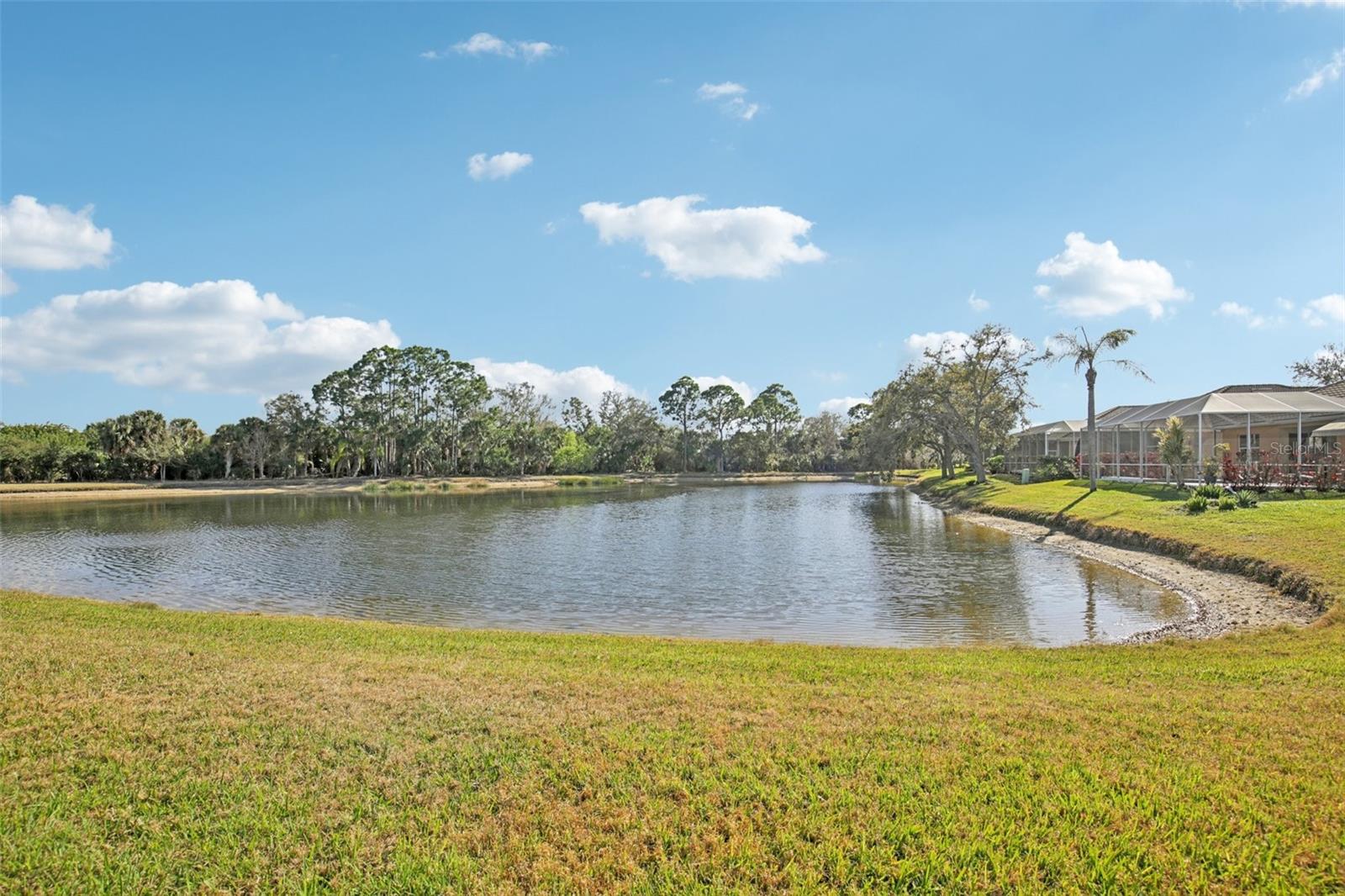 THE HAMPTONS - Residential